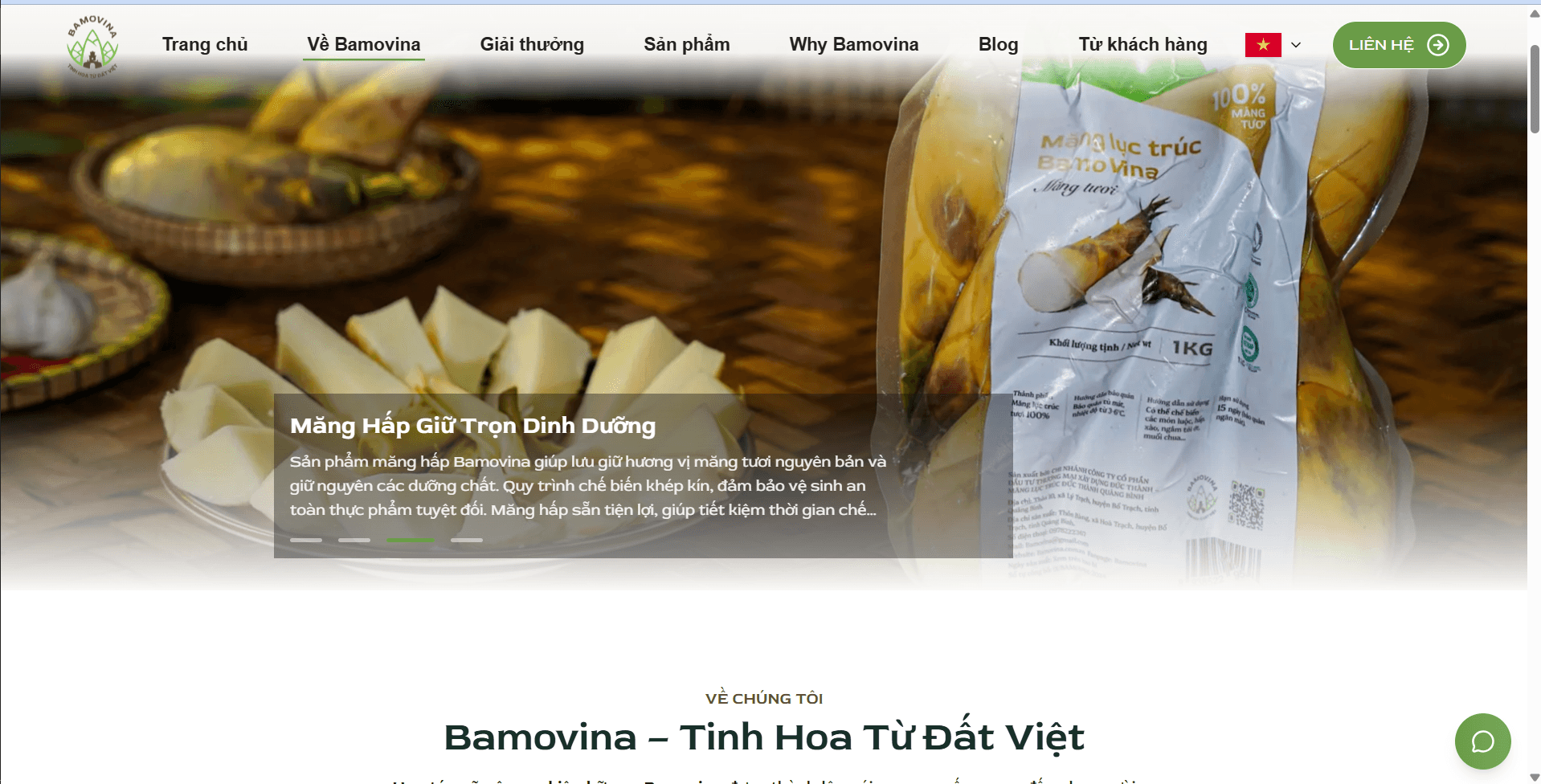 Website Bamovina — thiết kế bởi Kaikun Tech